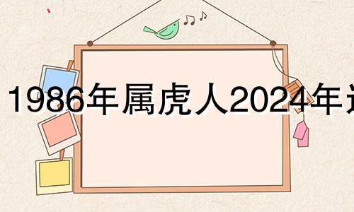 1986年属虎人2024年运势 1986年生肖虎2023年运势及运程