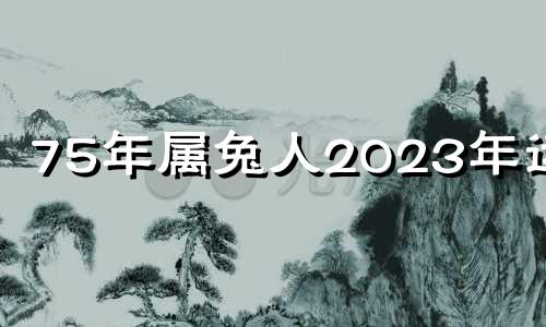 75年属兔人2023年运程