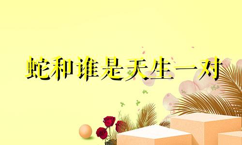 蛇和谁是天生一对 兔子和谁是天生一对朱兔宝宝