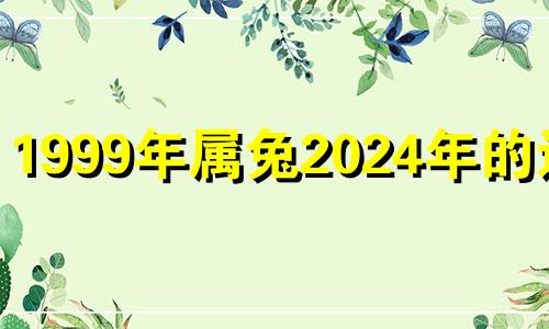 1999年属兔2024年的运势 1999年属兔人2023年感情运势