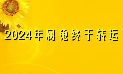 2024年属兔终于转运了 1999年属兔在202 1年运势
