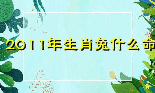 2011年生肖兔什么命格 2011年属兔什么命