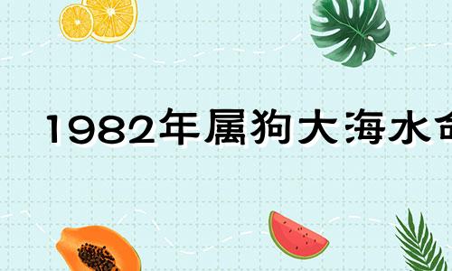 1982年属狗大海水命 82年属狗大海水命适合干什么职业