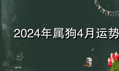 2024年属狗4月运势 生肖狗在2024年的运势以及注意月份