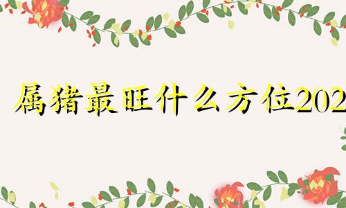 属猪最旺什么方位2023 属猪的发财方向在哪里