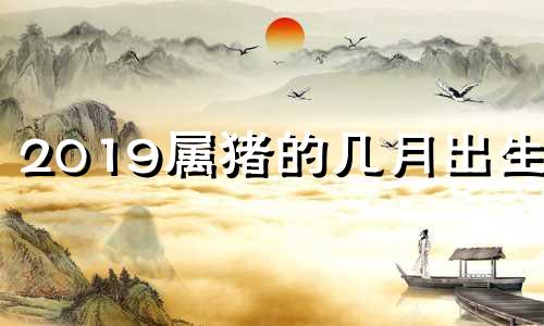 2019属猪的几月出生好 2019年属猪几月命苦