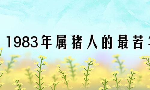 1983年属猪人的最苦年 83年属猪人怎么样