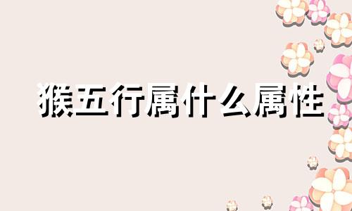 猴五行属什么属性 2004年猴五行属什么