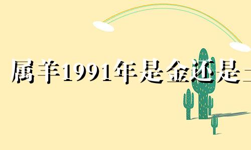 属羊1991年是金还是土 1991年是金还是土1991年生人的桃花位在哪里