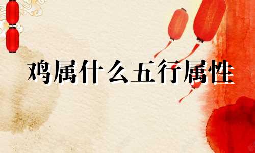 鸡属什么五行属性