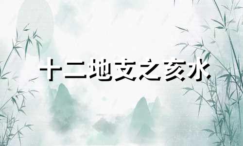十二地支之亥水 地支为亥水的命运