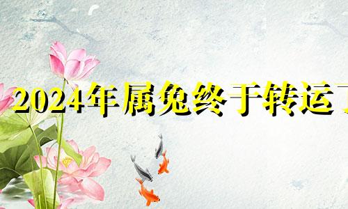 2024年属兔终于转运了 属兔双鱼座2024年运势怎么样