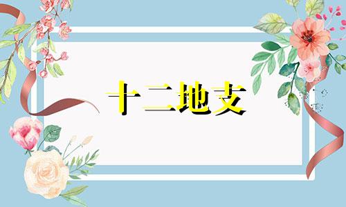 十二地支 辰土 十二地支中的辰对应什么