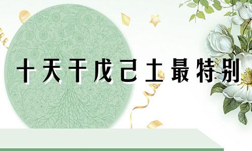 十天干戊己土最特别 戊己土实战篇