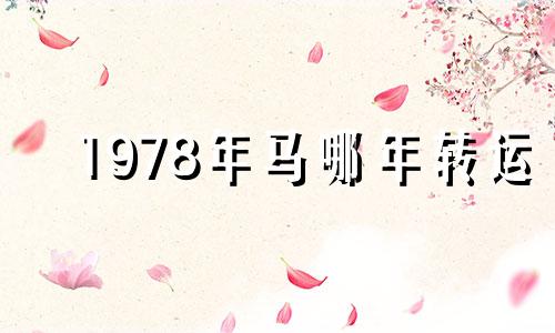1978年马哪年转运 1978年属马什么方向地方发展