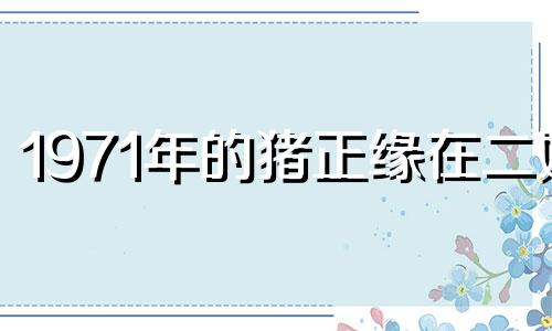 1971年的猪正缘在二婚 71年属猪女的姻缘和命运