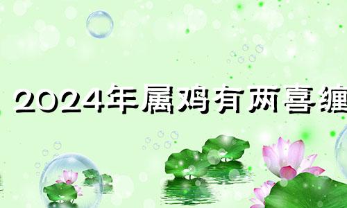 2024年属鸡有两喜缠身 2024年生肖鸡