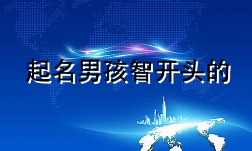 起名男孩智开头的 智字男孩取名好听