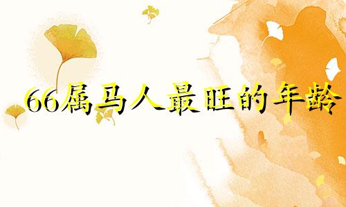 66属马人最旺的年龄 66年属马?
