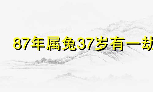 87年属兔37岁有一劫 属兔女命中注定的丈夫