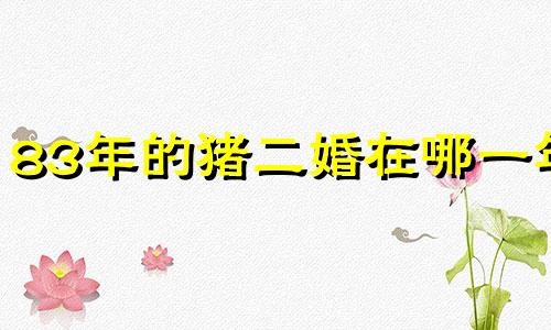 83年的猪二婚在哪一年 属猪男人对待感情善变吗