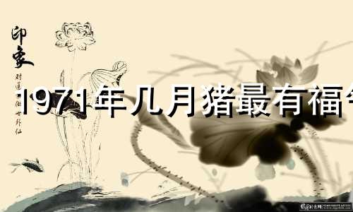 1971年几月猪最有福气 71年猪2024年未来十年的运气