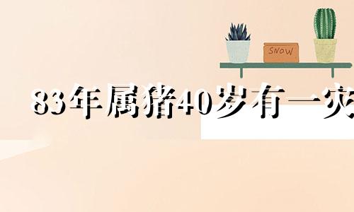 83年属猪40岁有一灾 83年猪41岁后十年大运运程