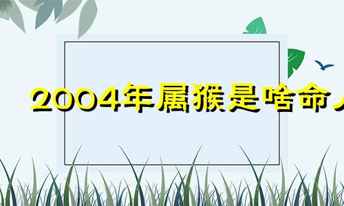 2004年属猴是啥命人 2004年属猴到底是什么命