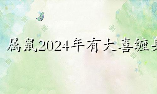 属鼠2024年有大喜缠身 属鼠2024年桃花劫遇真爱