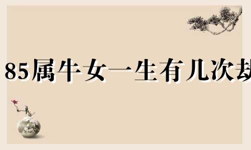 85属牛女一生有几次劫 85牛女的婚姻运势