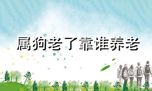 属狗老了靠谁养老 属狗人晚年是无依无靠吗?
