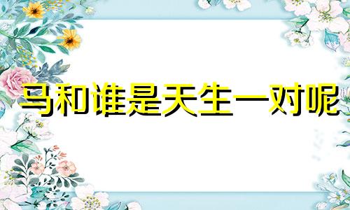 马和谁是天生一对呢 马和谁是夫妻