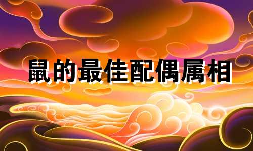 鼠的最佳配偶属相 属鼠婚配什么属相最好