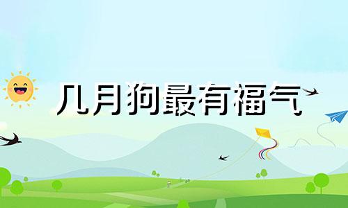 几月狗最有福气 06年属狗人一生的命运详解