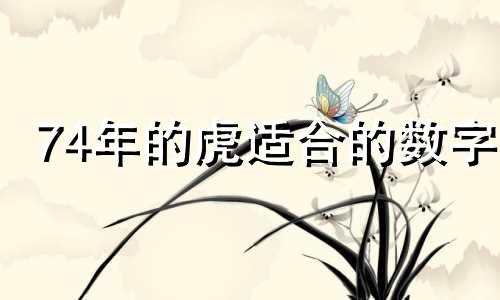 74年的虎适合的数字 1974年属虎最旺财数字