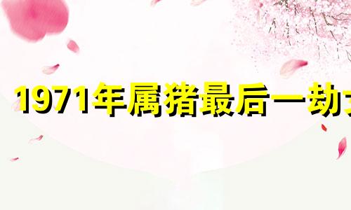 1971年属猪最后一劫女 71年猪2024年未来十年的运气