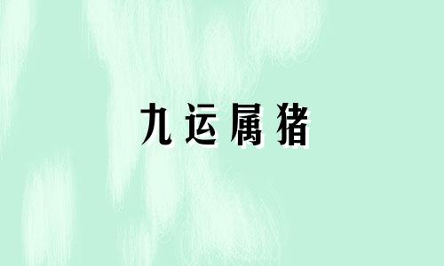 九运属猪 九紫离火运什么意思