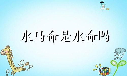水马命是水命吗 2002年属马是什么水