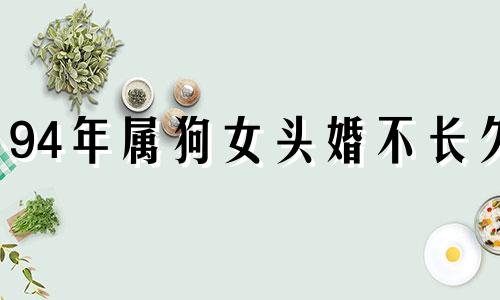 94年属狗女头婚不长久 1994属狗女的婚姻和命运如何