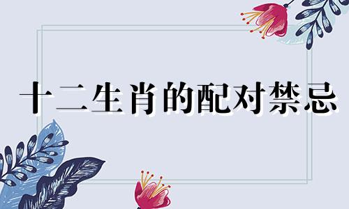 十二生肖的配对禁忌 十二生肖婚配忌配表