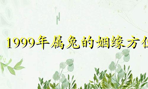 1999年属兔的姻缘方位 99年兔正缘出现年份