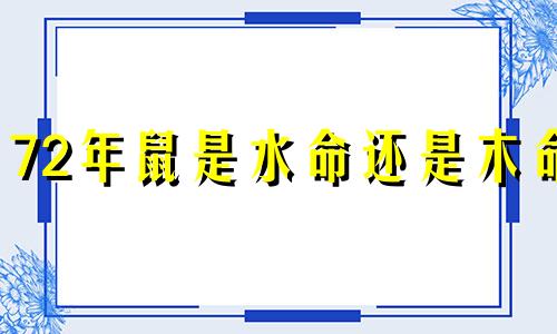 72年鼠是水命还是木命 72年属鼠人是水命吗
