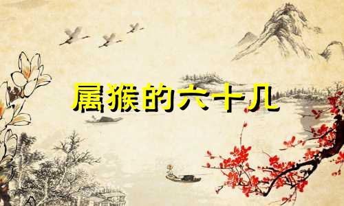 属猴的六十几 属猴的人今年六十几岁