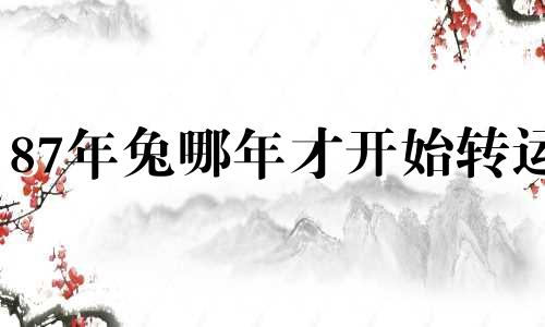 87年兔哪年才开始转运 87年属兔最苦的是在什么年龄