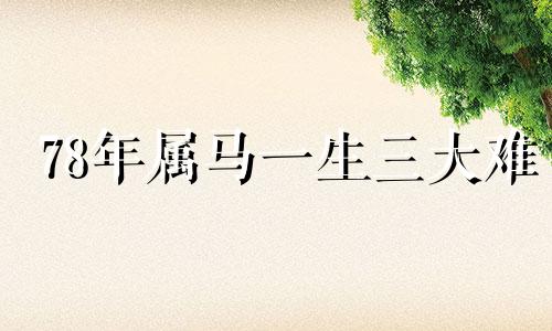 78年属马一生三大难 78年属马人躲不过去的大难