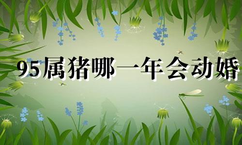 95属猪哪一年会动婚 95属猪男可以和哪几个属相结婚