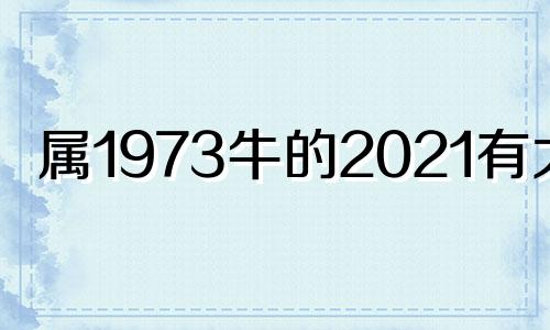 属1973牛的2021有大难 1973年属牛人的灾难年龄