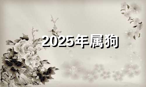 2025年属狗 属狗2025年属狗每月运势和运