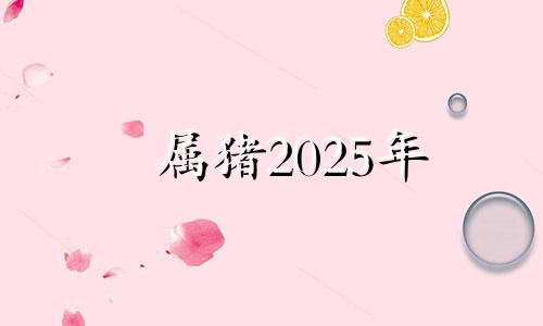 属猪2025年 2025年属猪的人多少岁