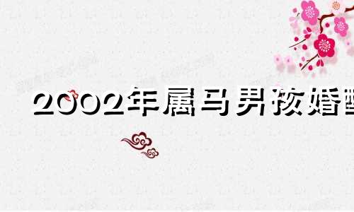 2002年属马男孩婚配 2002年肖马男配什么